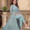 2227-B Party Wear Net-Embroidery With Ghagra Pant-2